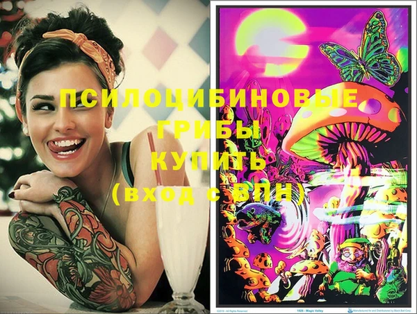 мдпв Абдулино