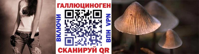 Галлюциногенные грибы MAGIC MUSHROOMS  Александровск 